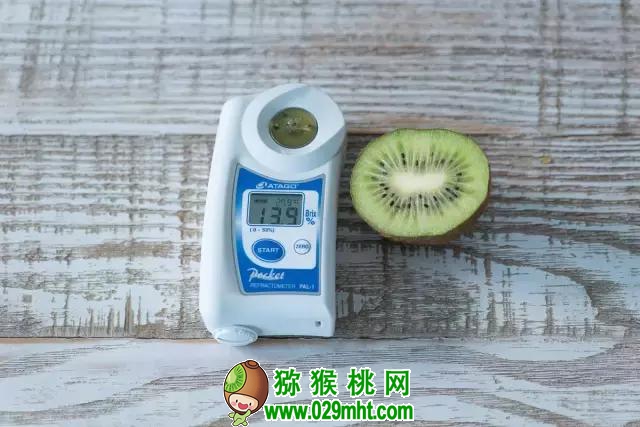 豪门国际官方网站图片