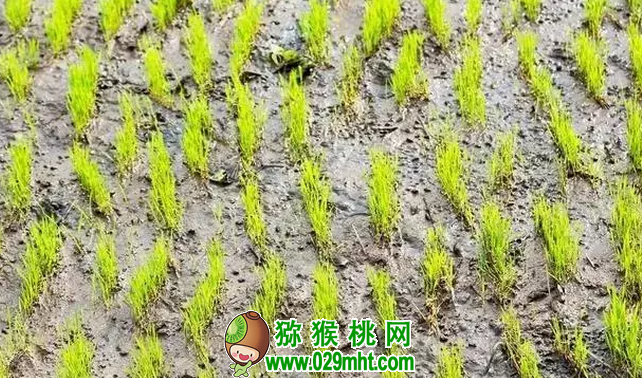 豪门国际官方网站图片