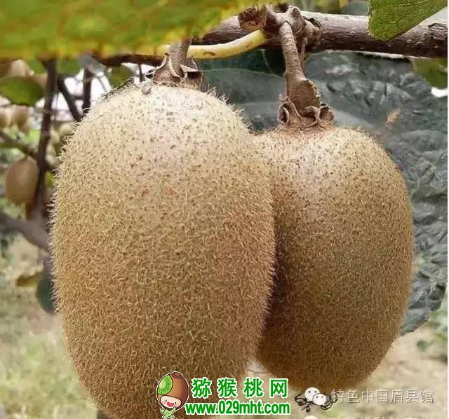 豪门国际官方网站图片