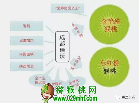 豪门国际 c48c5