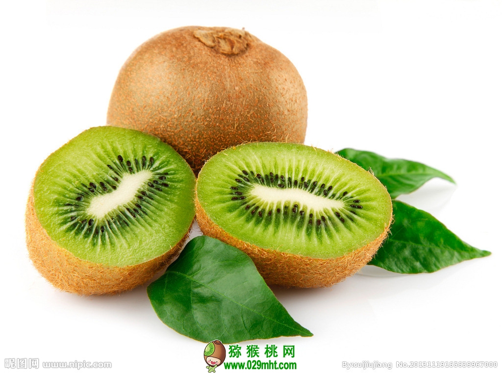 豪门国际官方网站图片