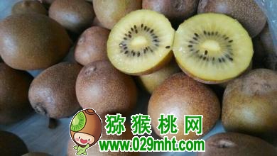 豪门国际官方网站图片