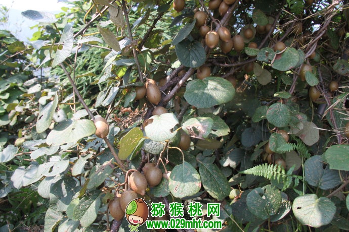 豪门国际官方网站图片