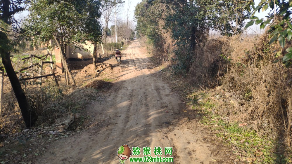 豪门国际 dd3d2
