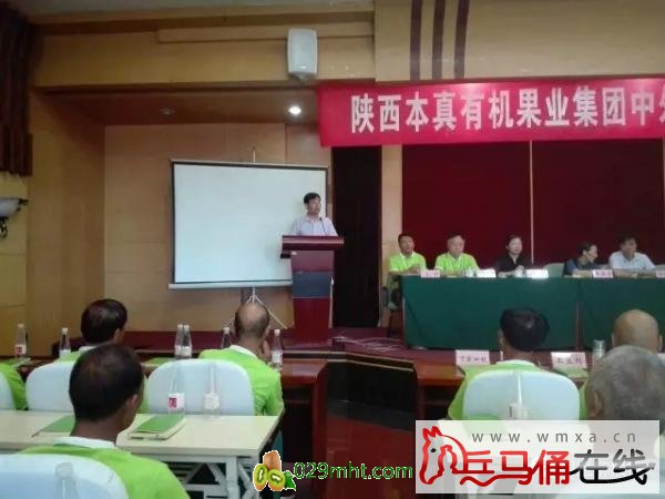 豪门国际官方网站图片