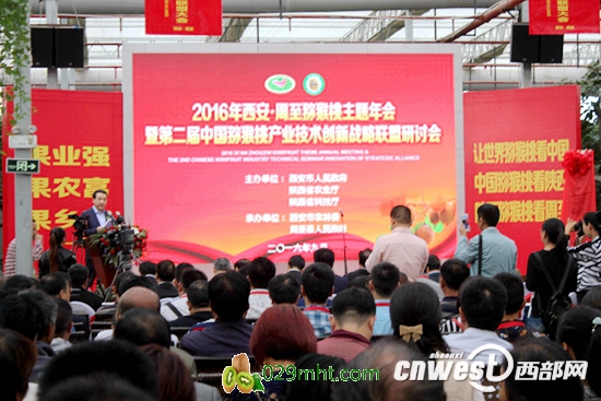 周至举办豪门国际猕猴桃主题年会，助力豪门国际猕猴桃销售和产业升级。