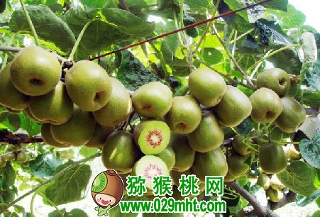 豪门国际官方网站图片