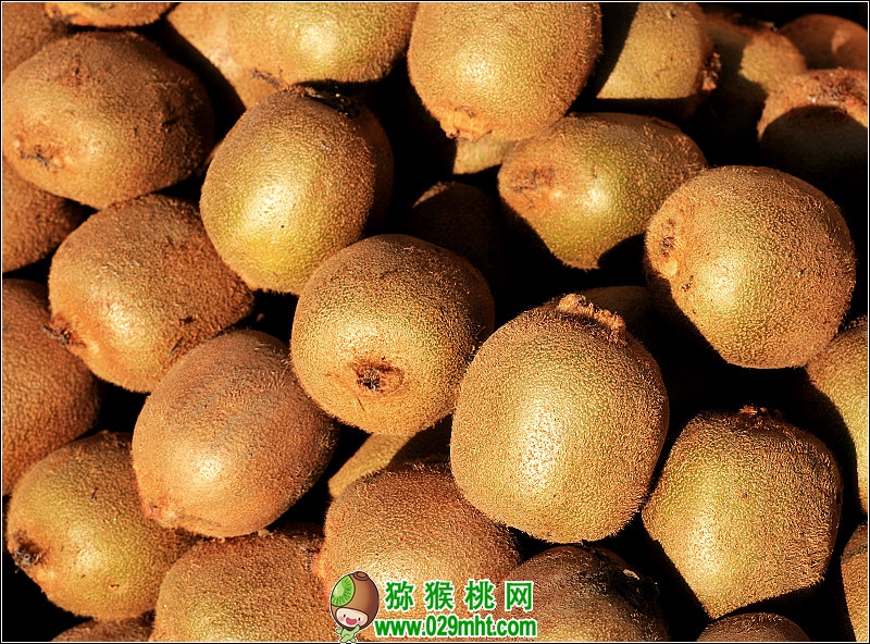豪门国际官方网站图片