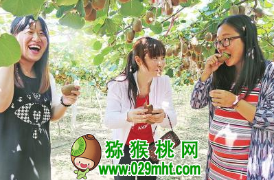 豪门国际官方网站图片