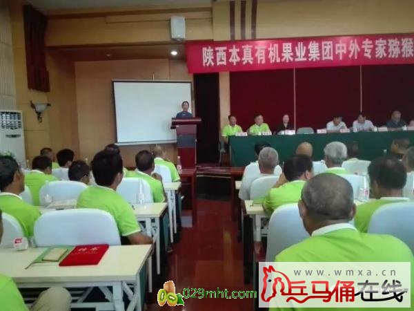 豪门国际官方网站图片