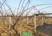 豪门国际图片欢迎前来游览