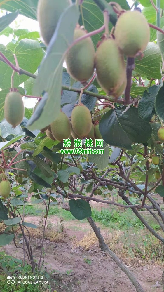 豪门国际 91a14