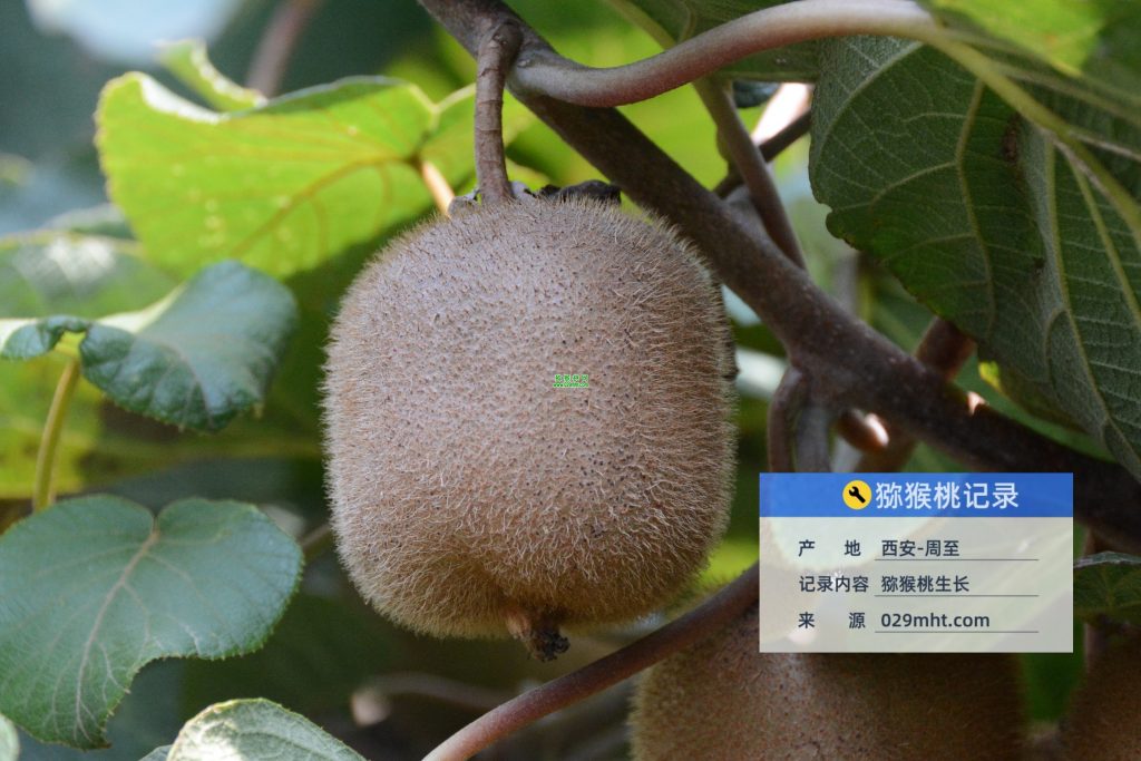 豪门国际官方网站图片