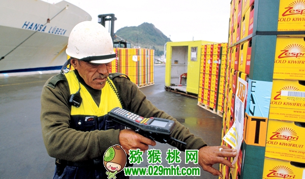 佳沛阳光金果来势汹汹 <a href=http://www.linux-china.com/e/tags/index.php?tagname=%E5%9B%BD%E4%BA%A7%E7%8C%95%E7%8C%B4%E6%A1%83&page=0 target=_blank class=infotextkey />国产豪门国际猕猴桃</a>还有机会吗?