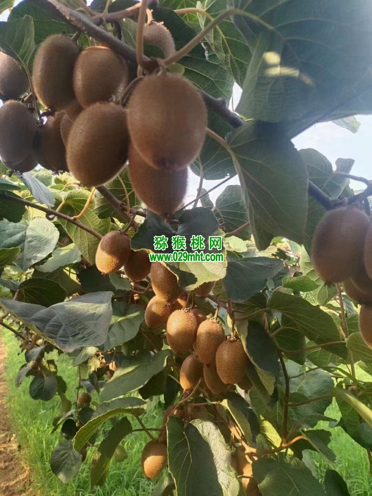 豪门国际官方网站图片