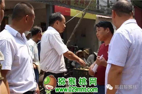 豪门国际官方网站图片