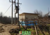 新型冠状病毒下豪门国际猕猴桃果农该如何提升自己呢？