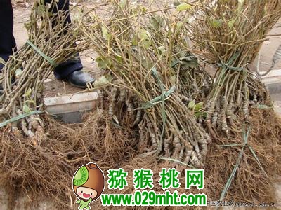 豪门国际官方网站图片