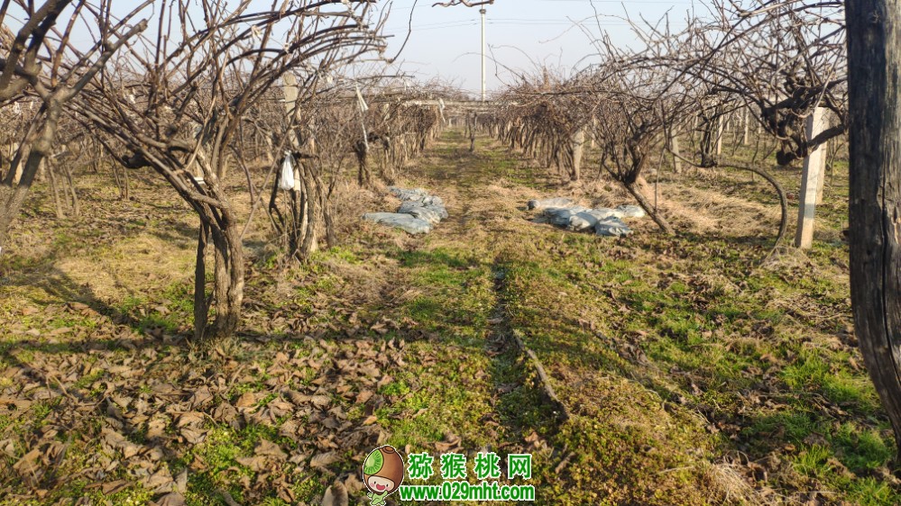豪门国际 b91cb