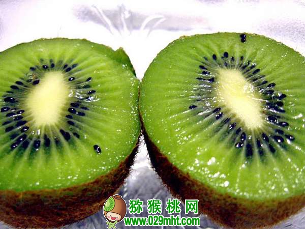 豪门国际 84122