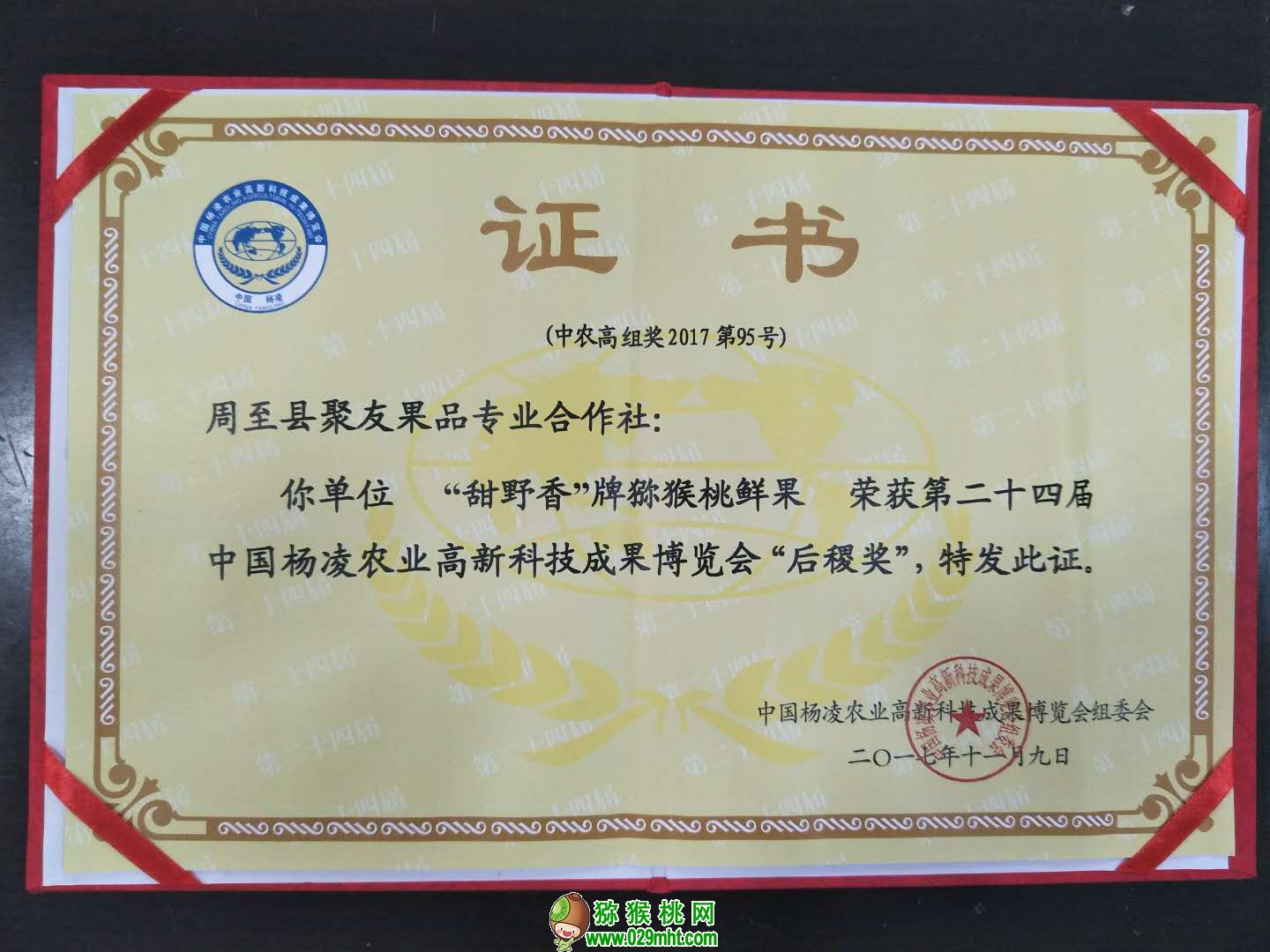豪门国际官方网站图片