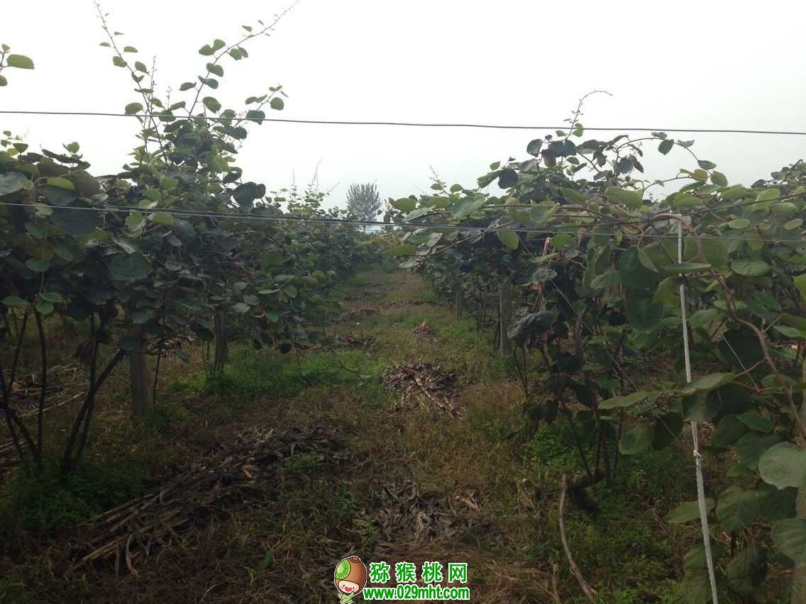 豪门国际官方网站图片