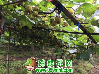 豪门国际官方网站图片