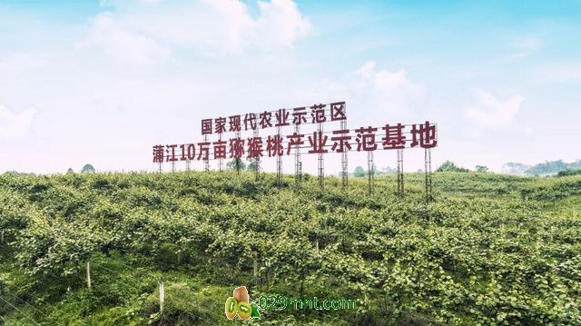豪门国际官方网站图片