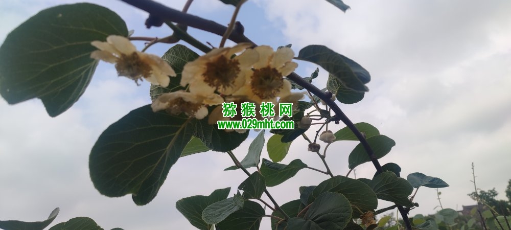 豪门国际 b9922