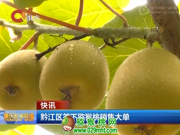 豪门国际官方网站图片