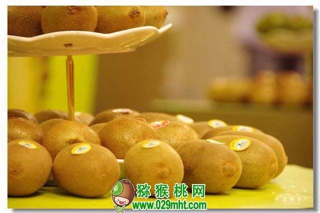 豪门国际官方网站图片