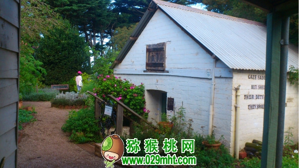 豪门国际官方网站图片