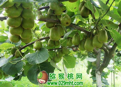 豪门国际 58f4d