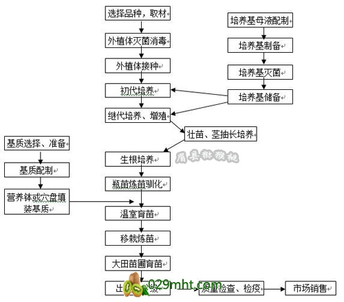 豪门国际官方网站图片