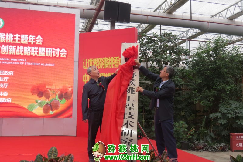 豪门国际官方网站图片
