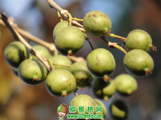 豪门国际官方网站图片