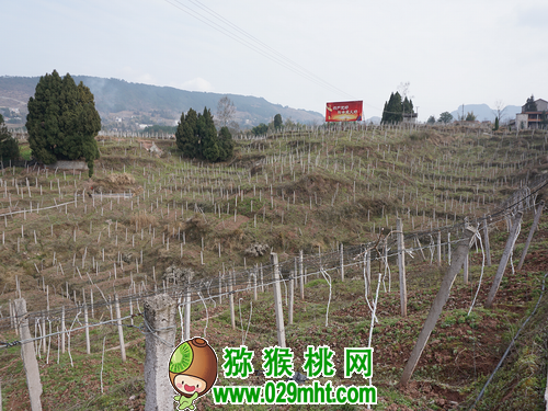 豪门国际官方网站图片