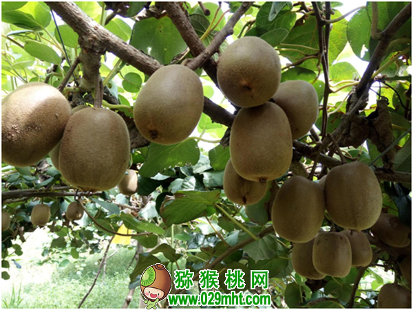 豪门国际官方网站图片