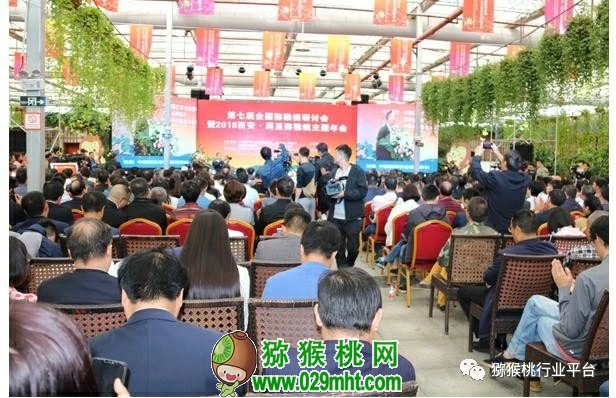 豪门国际 5cd58