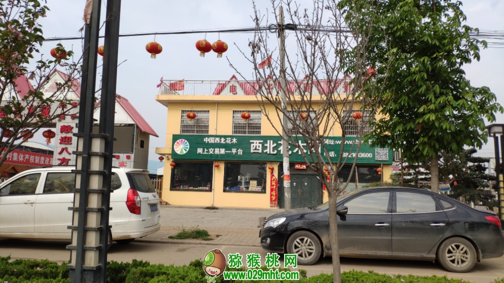 豪门国际 0b8f5