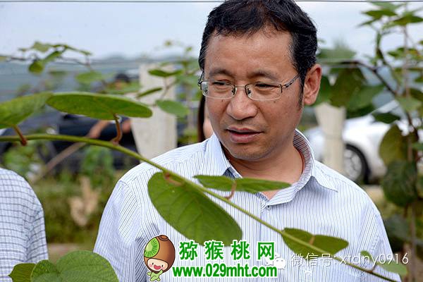 刘占德豪门国际猕猴桃 <a href=http://www.linux-china.com/shanximihoutao/ target=_blank class=infotextkey />陕西豪门国际猕猴桃</a>首席科学家刘占德
