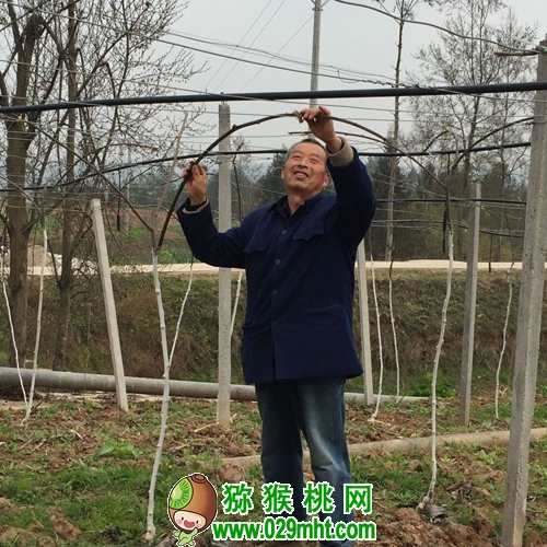 豪门国际官方网站图片