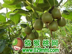 豪门国际官方网站图片