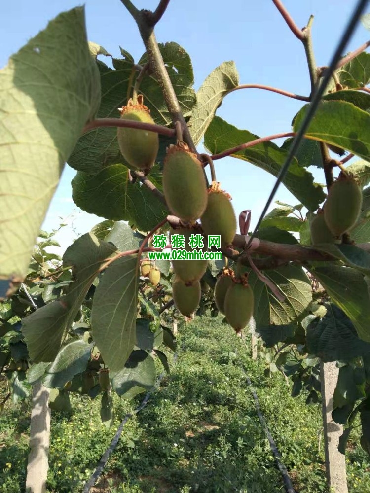 豪门国际 36bbd