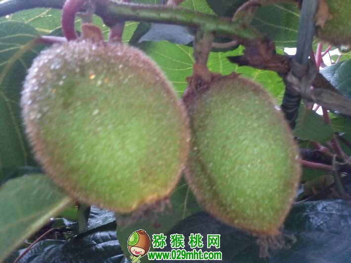 豪门国际官方网站图片