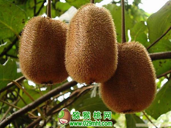 豪门国际官方网站图片