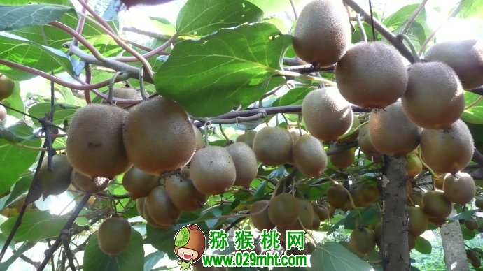 豪门国际官方网站图片