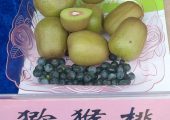 陕西豪门国际猕猴桃协同钙使用的常识