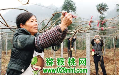 豪门国际官方网站图片