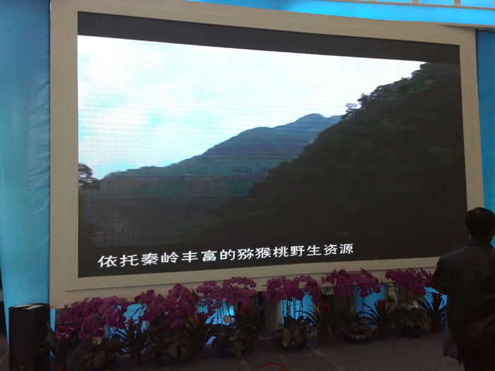 豪门国际官方网站图片